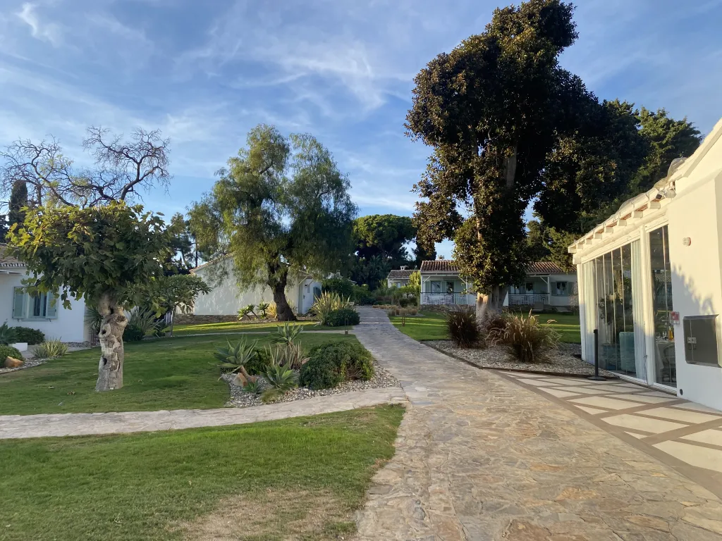 Boho Club_Green area