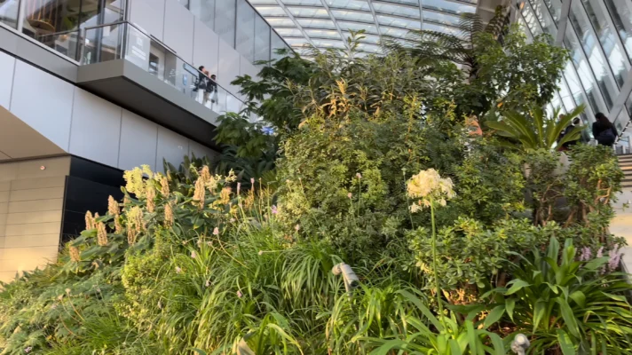 The Indoor Sky-High Tropical Garden