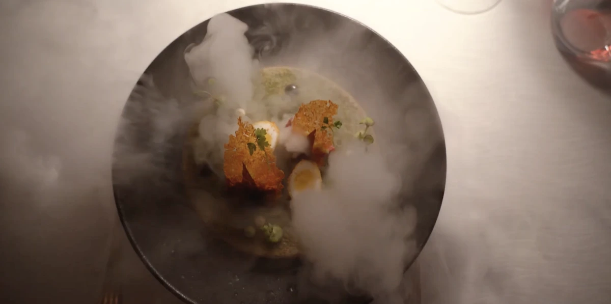 Déjà Vu Morning Forest