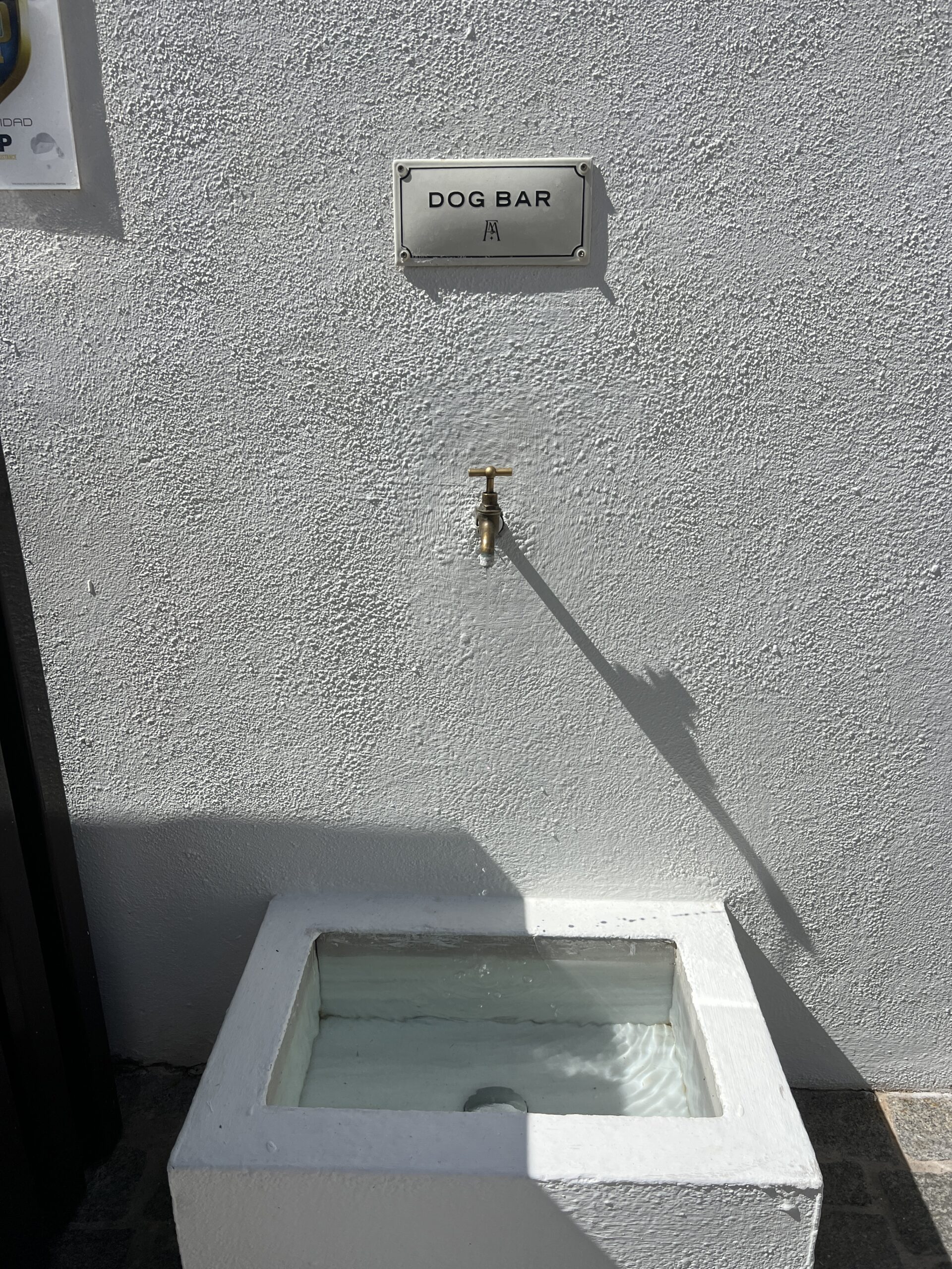 Dog fountain water station at the entrance of Forum Marbella