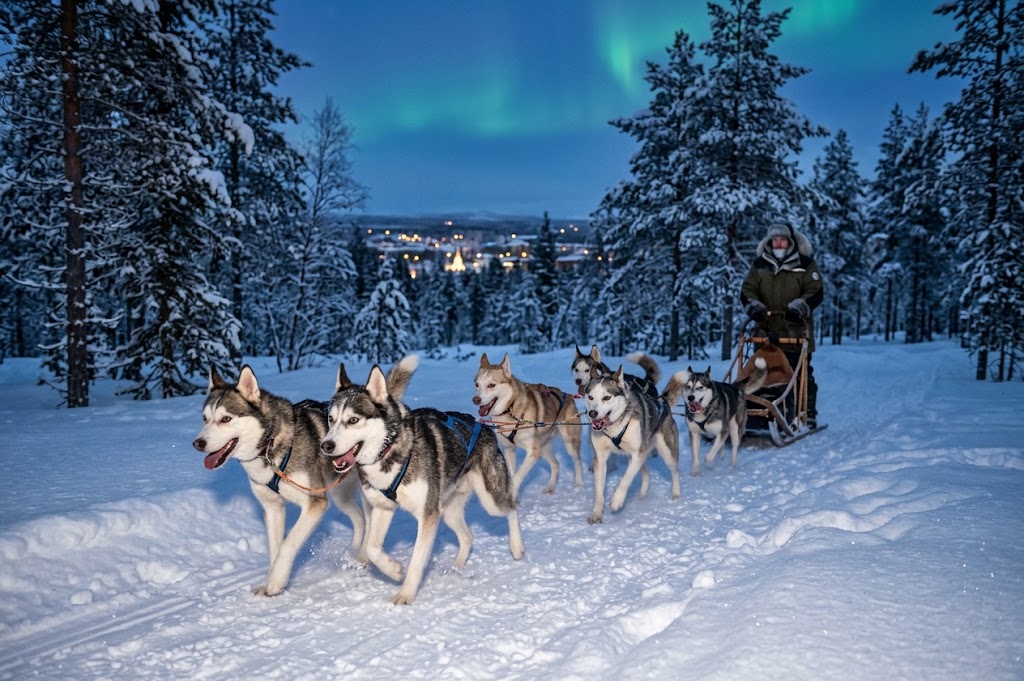 Husky sled team on a snowy trail near Rovaniemi